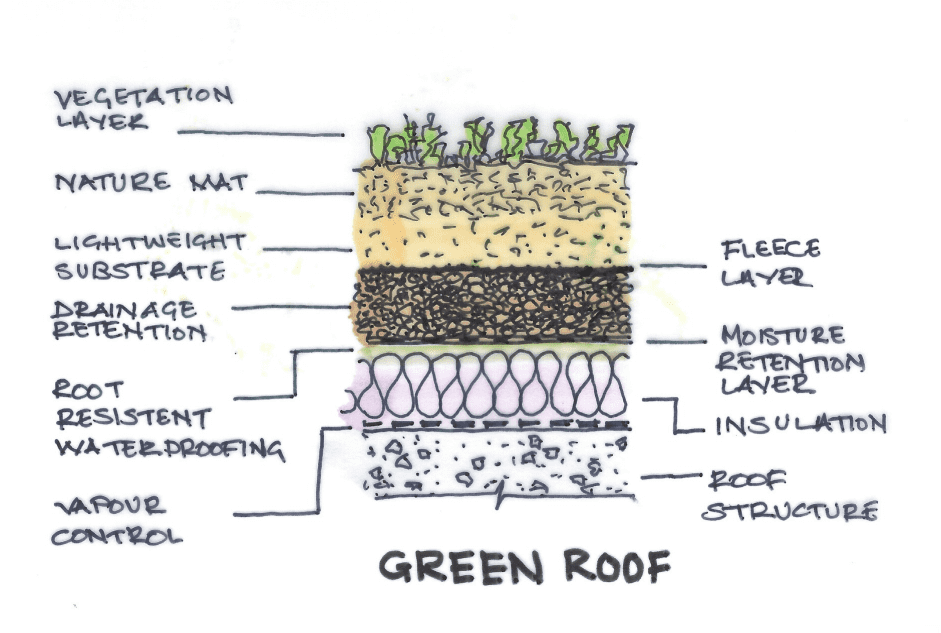 green roof7